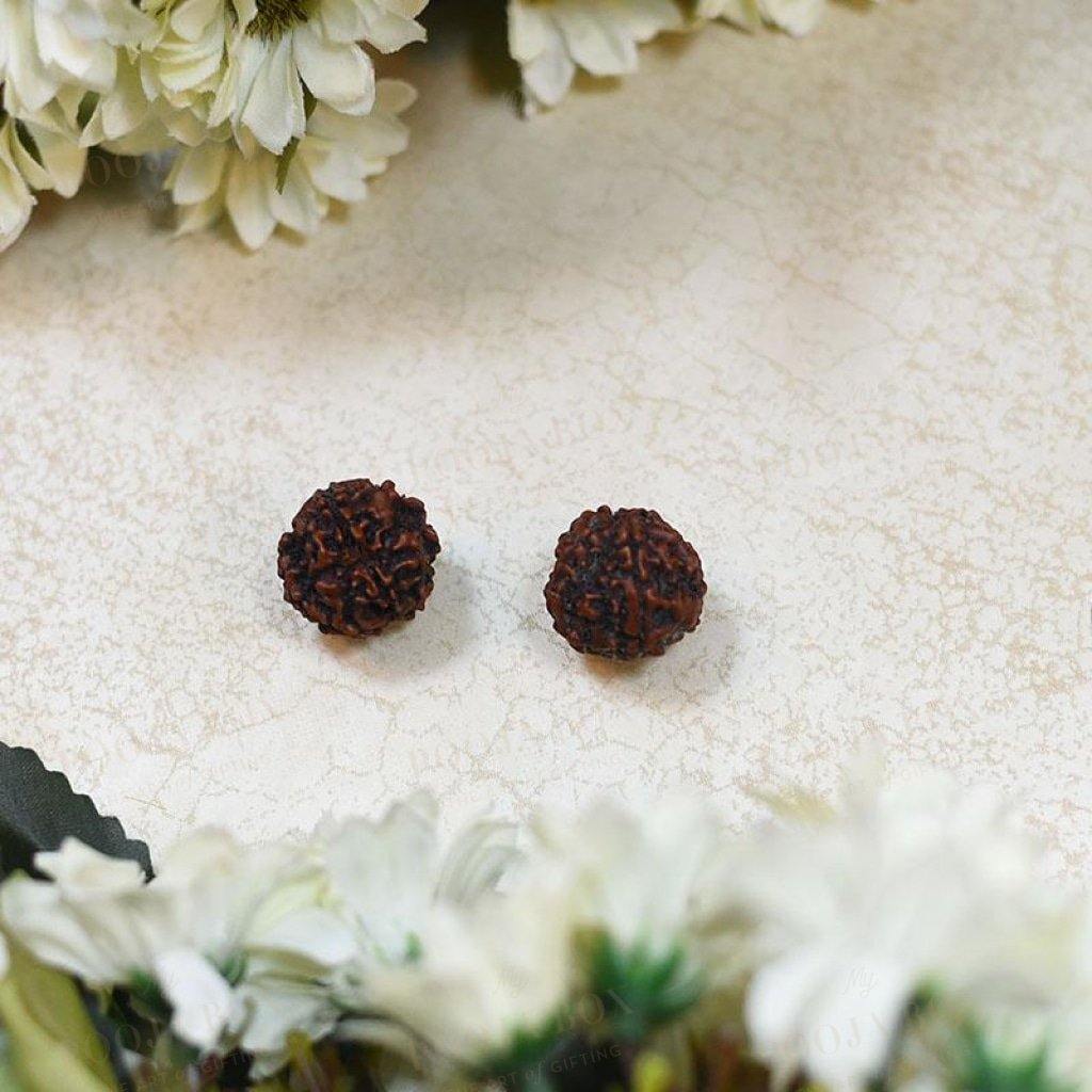 Natural Chaar Mukhi/ Four Faced Rudraksha Pooja Items