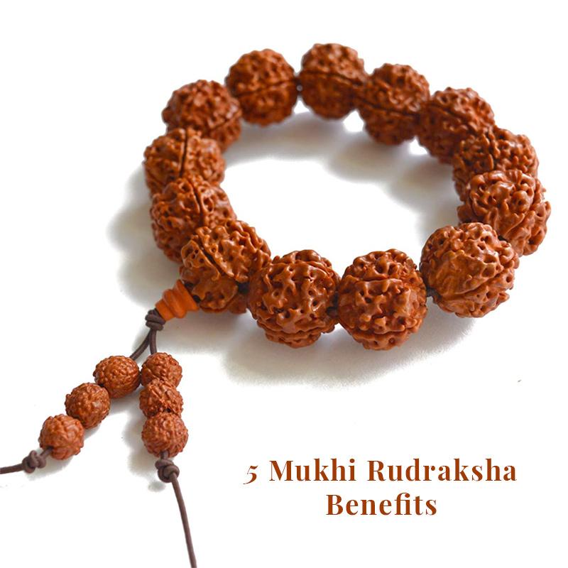 5 mukhi rudraksha benefits