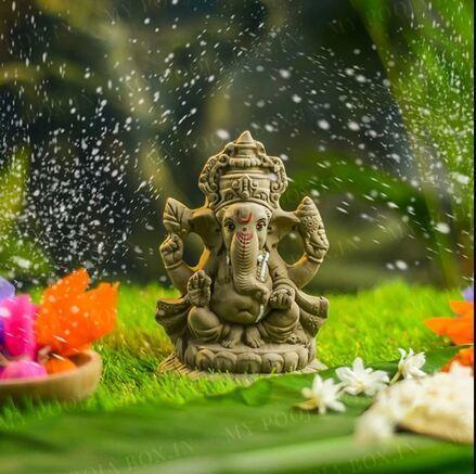 plant ganesha