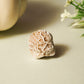 Desert Rose Selenite Stone