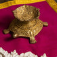 Antique Brass Tortoise Deepak