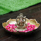 6INCH Sarpujaya Eco-Friendly Ganpati | Plant-A-Ganesha
