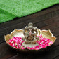 6INCH Sarpujaya Eco-Friendly Ganpati | Plant-A-Ganesha