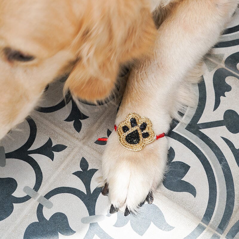 Dog Paw Perfect Pet Rakhi