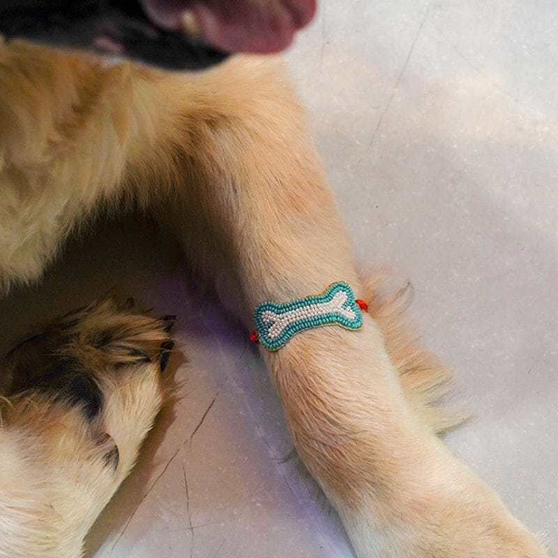 Cute Doggie Bone Buddy Pet Rakhi