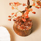 Carnelian Crystal Stone Motivation Tree 100 Beads