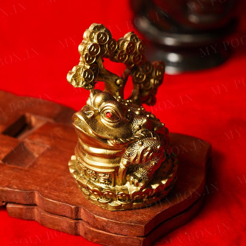 Feng Shui Clay Frog on Coin Wealth Money Tree For Prosperity and Good Luck
