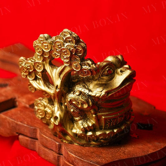 Feng Shui Clay Frog on Coin Wealth Money Tree For Prosperity and Good Luck