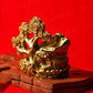 Feng Shui Clay Frog on Coin Wealth Money Tree For Prosperity and Good Luck