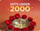 Gifts Under 2000