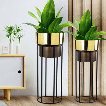 SET_OF_2