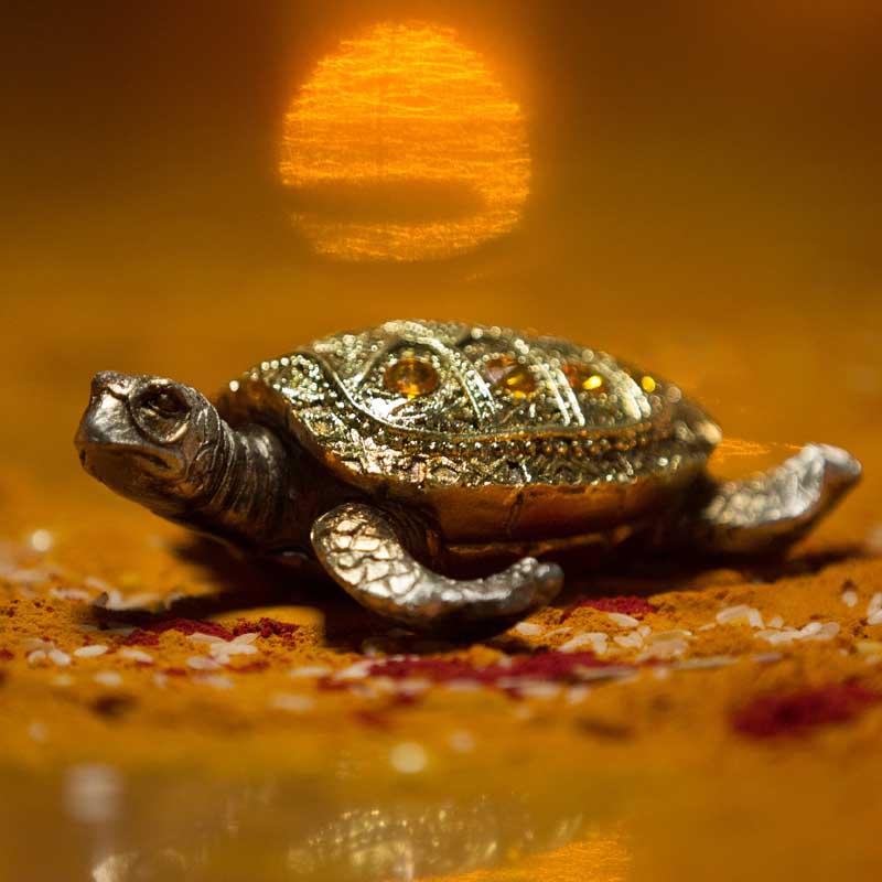 Stone Studded Sparkling Golden Tortoise