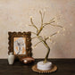 Bonsai Spirit Tree with Fairy Lights Table Lamp | Warm White