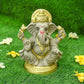 10INCH Umaputra Eco-Friendly Ganpati | Plant-A-Ganesha