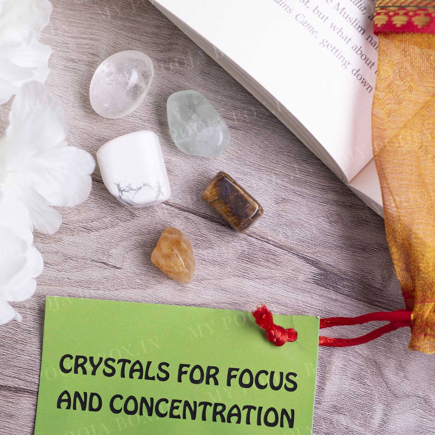 Focus & Concentration Crystal Healing Tumble Stone Set