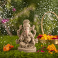 6INCH Manomay Eco-Friendly Ganpati | Plant-A-Ganesha