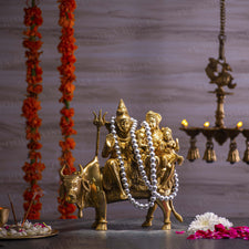 Traditional Brass Shiv Parivar with Nandi