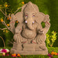 2FEET Bappa Eco-Friendly Ganpati | Plant-A-Ganesha
