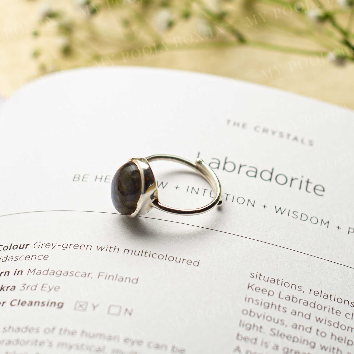 Labradorite Silver Adjustable Crystal Ring