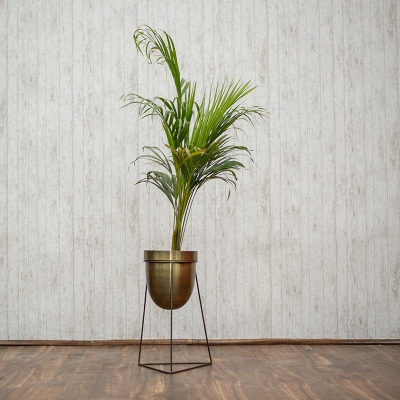 Bronze & Gold Planter