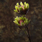 Beautiful Decorative Artificial Flower Stick