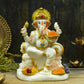 Glossy Lord Ganesha With Fruits and Sweets