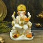 Glossy Lord Ganesha With Fruits and Sweets