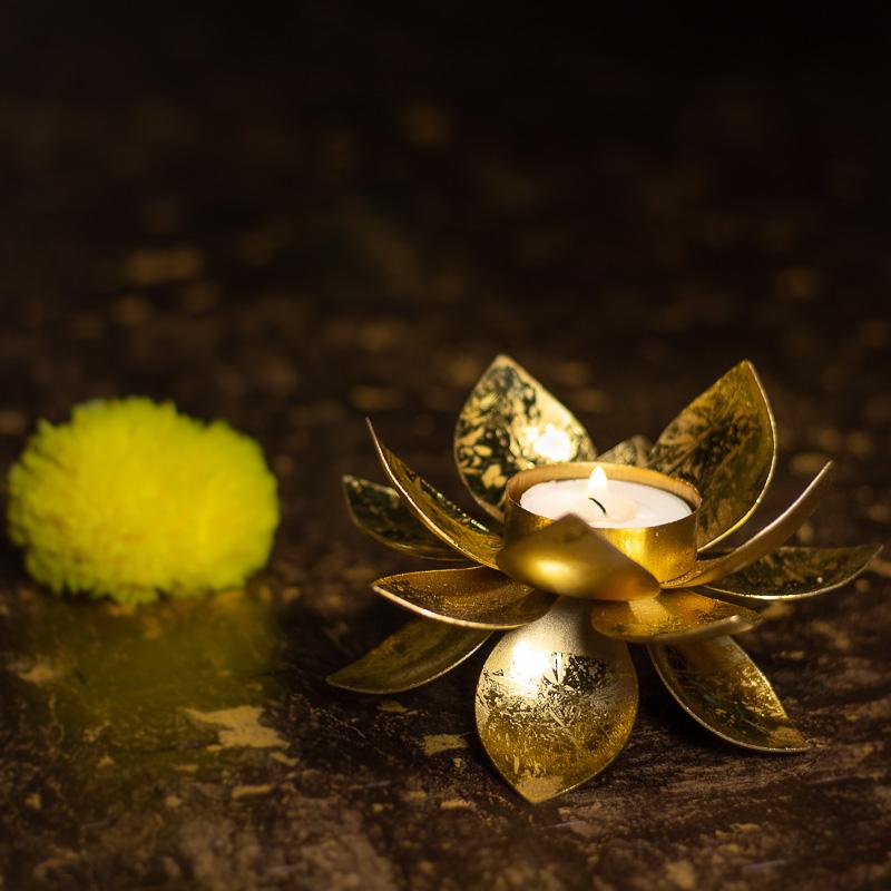 Lotus Tlight holder