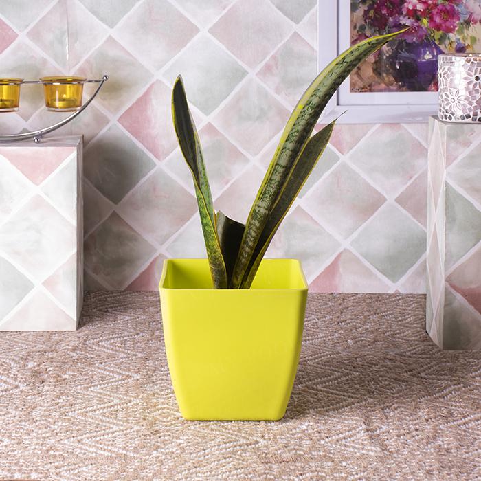 Reusable Yellow Planter