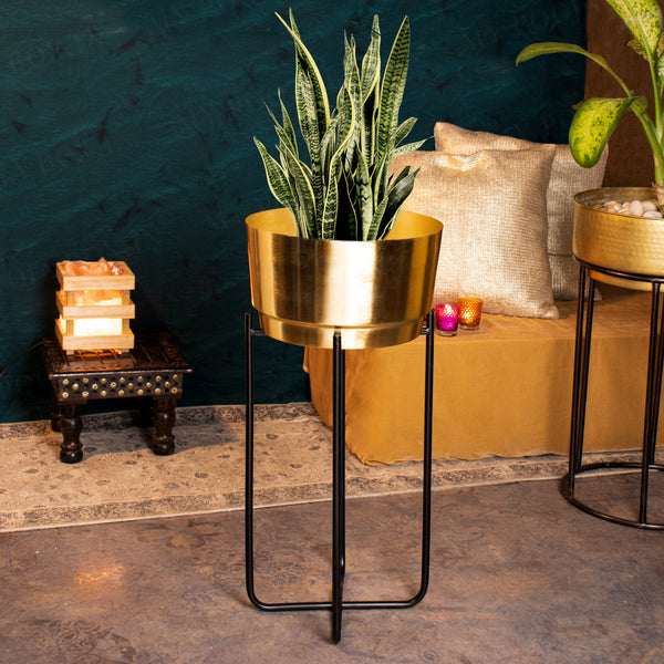 Marina Brass Finish Indoor Planter