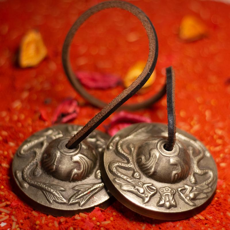 Traditional Instrument Manjeera