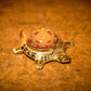 Vastu Dosh Nivaran Tortoise Kavach Yantra