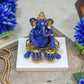 Blue_&_Golden