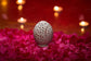 Egg Shaped Candle Holder