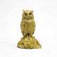 Feng Shui Coin Owl Showpiece