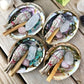 Abalone Shell Sage Holder