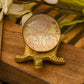 Shree Sampurna Glass Tortoise Yantra