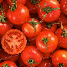 Tomato Seeds